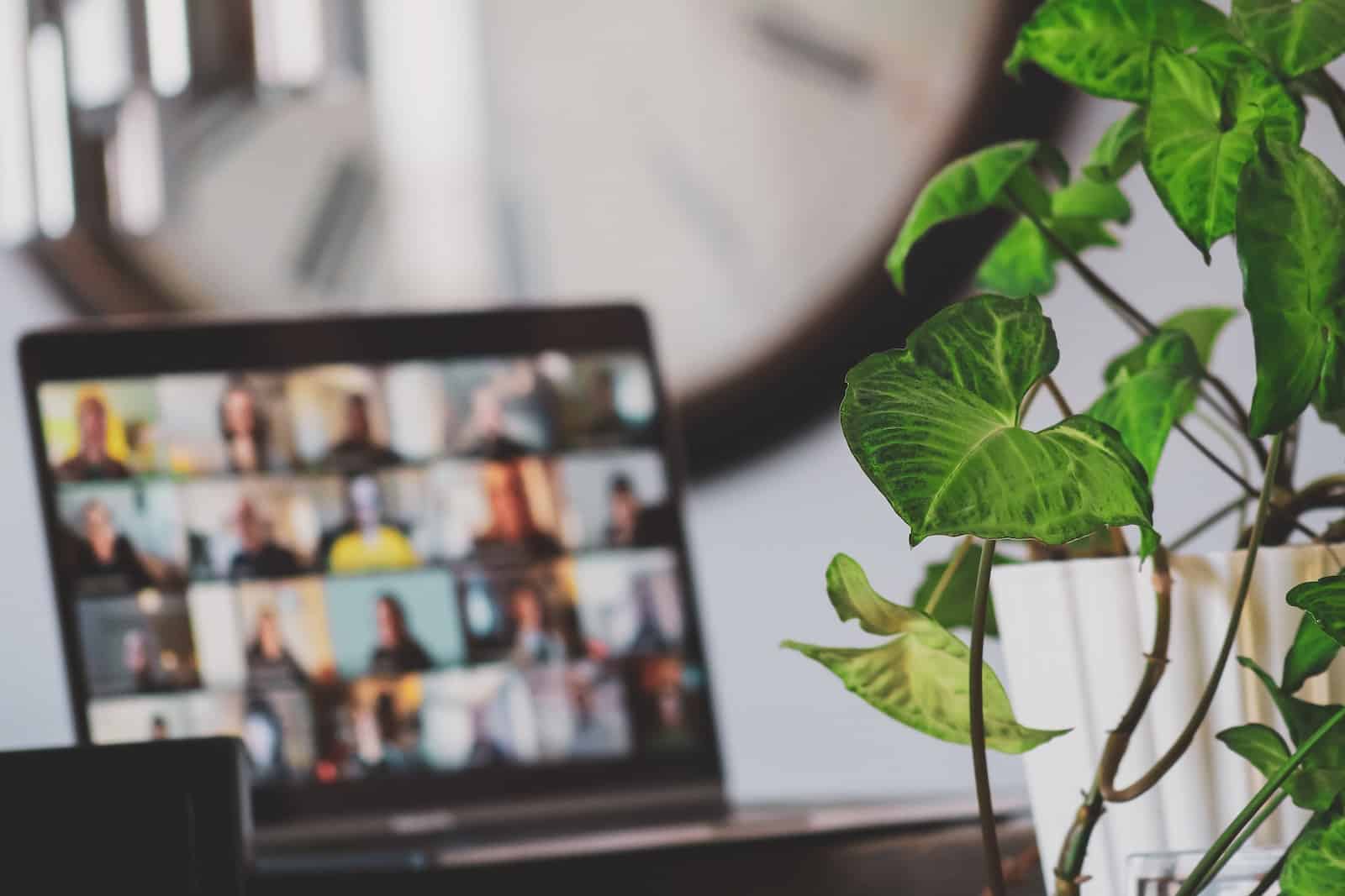 examen oficial de coreano TOPIK plant